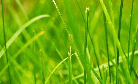 安全可靠放心的ddos攻击器安卓ios下载